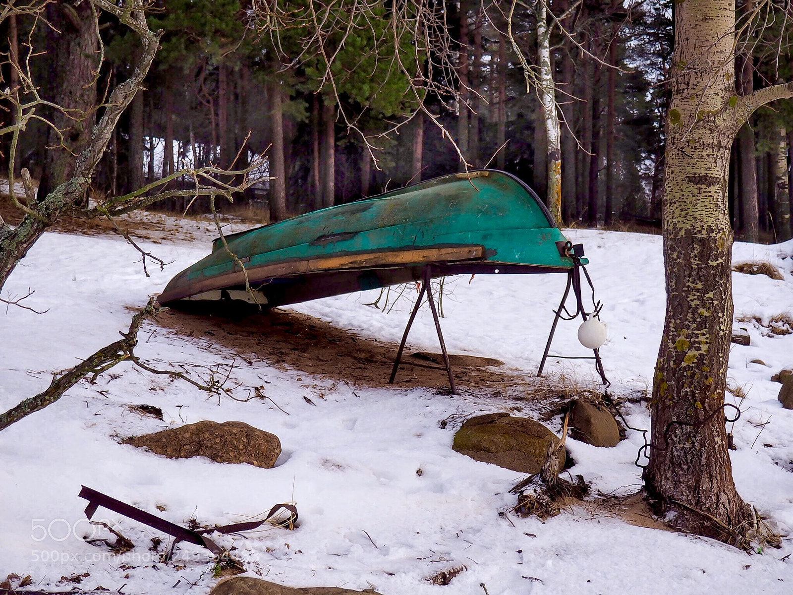 Olympus PEN E-PL7 sample photo. Wintering... photography