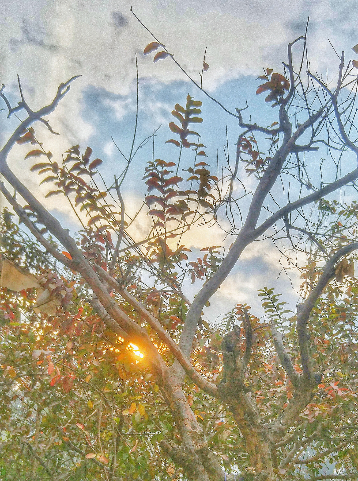LG H818N sample photo. Sunrise photography