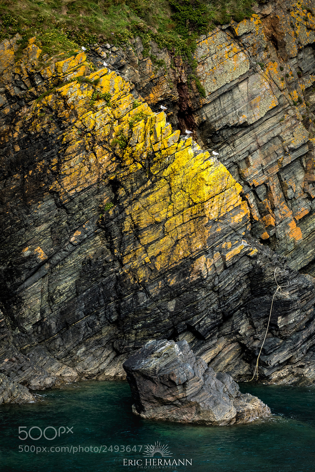 Canon EOS 7D Mark II sample photo. Step by step in photography