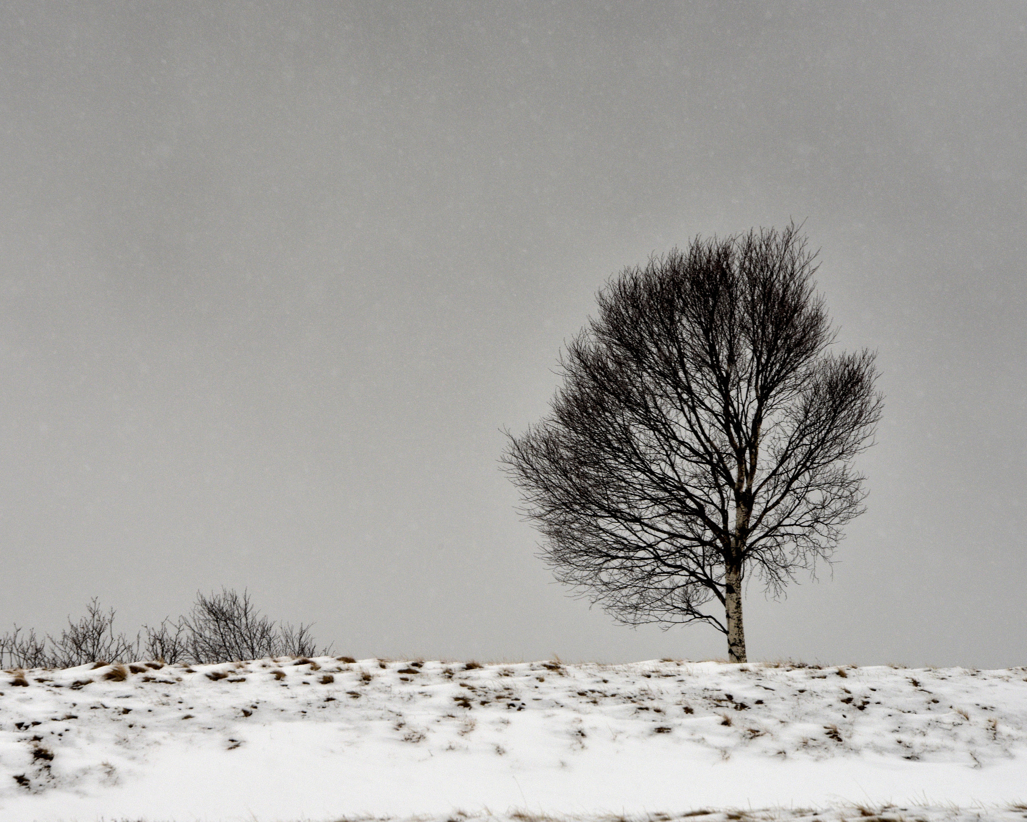 Nikon D810 sample photo. Solitario photography