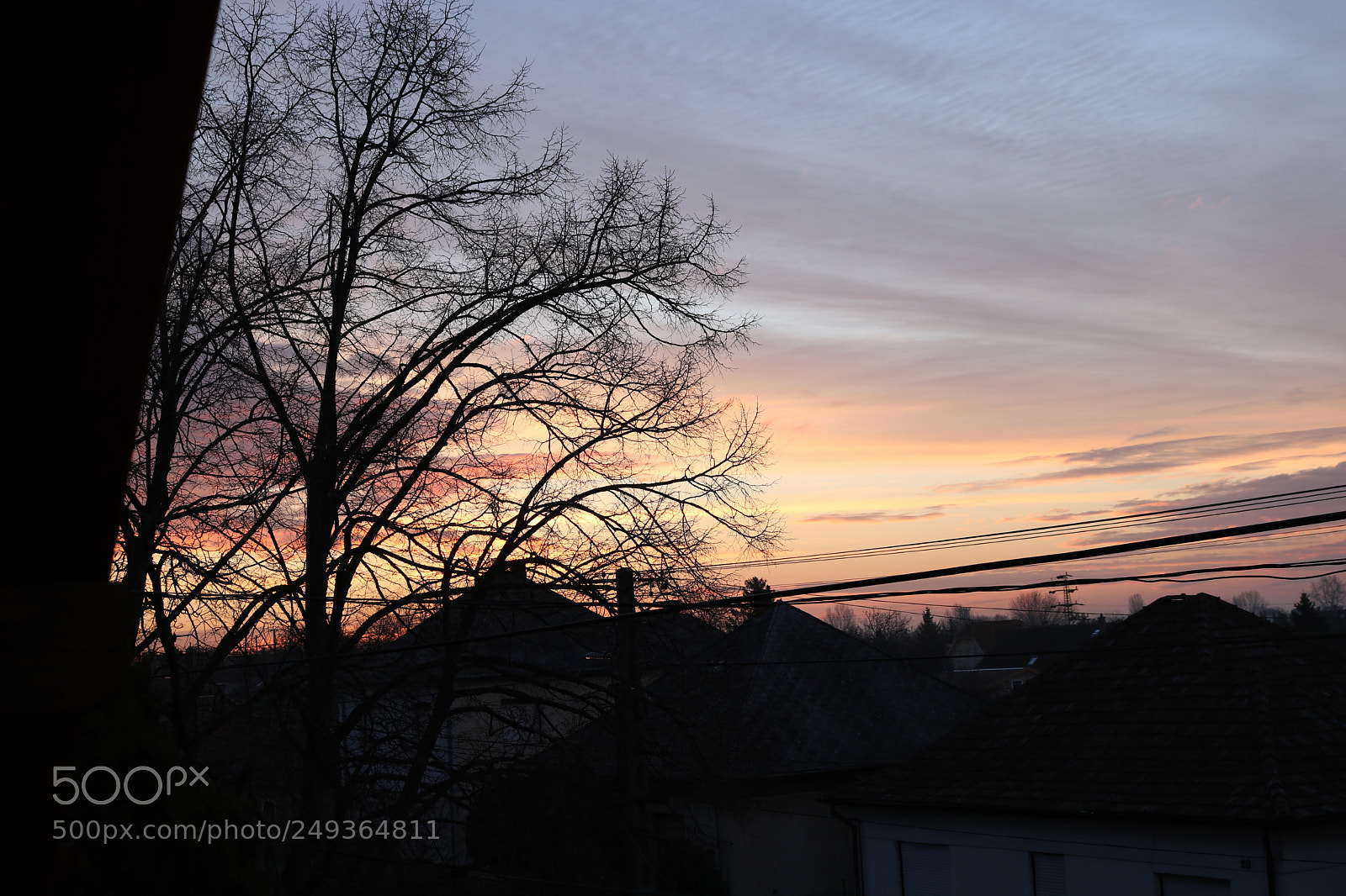 Canon EOS 750D (EOS Rebel T6i / EOS Kiss X8i) sample photo. Morning photography