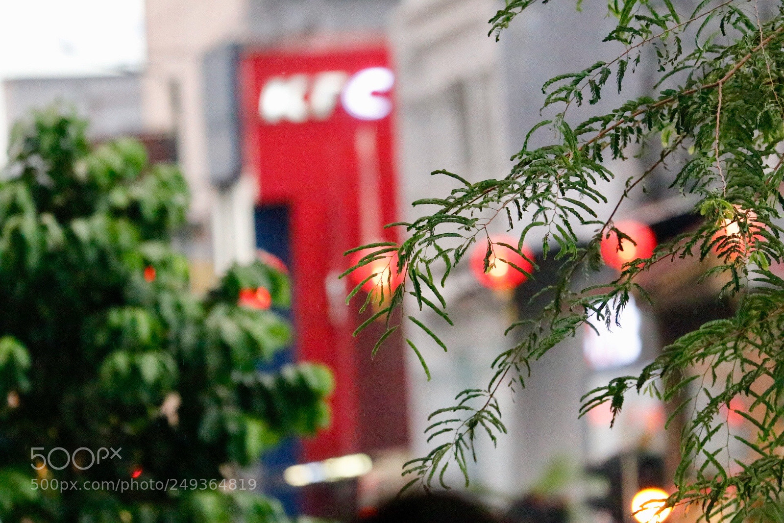 Canon EOS 80D sample photo. Afternoon on malioboro street photography