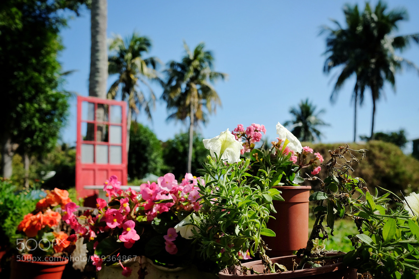 Fujifilm X-T1 sample photo. Simple life photography