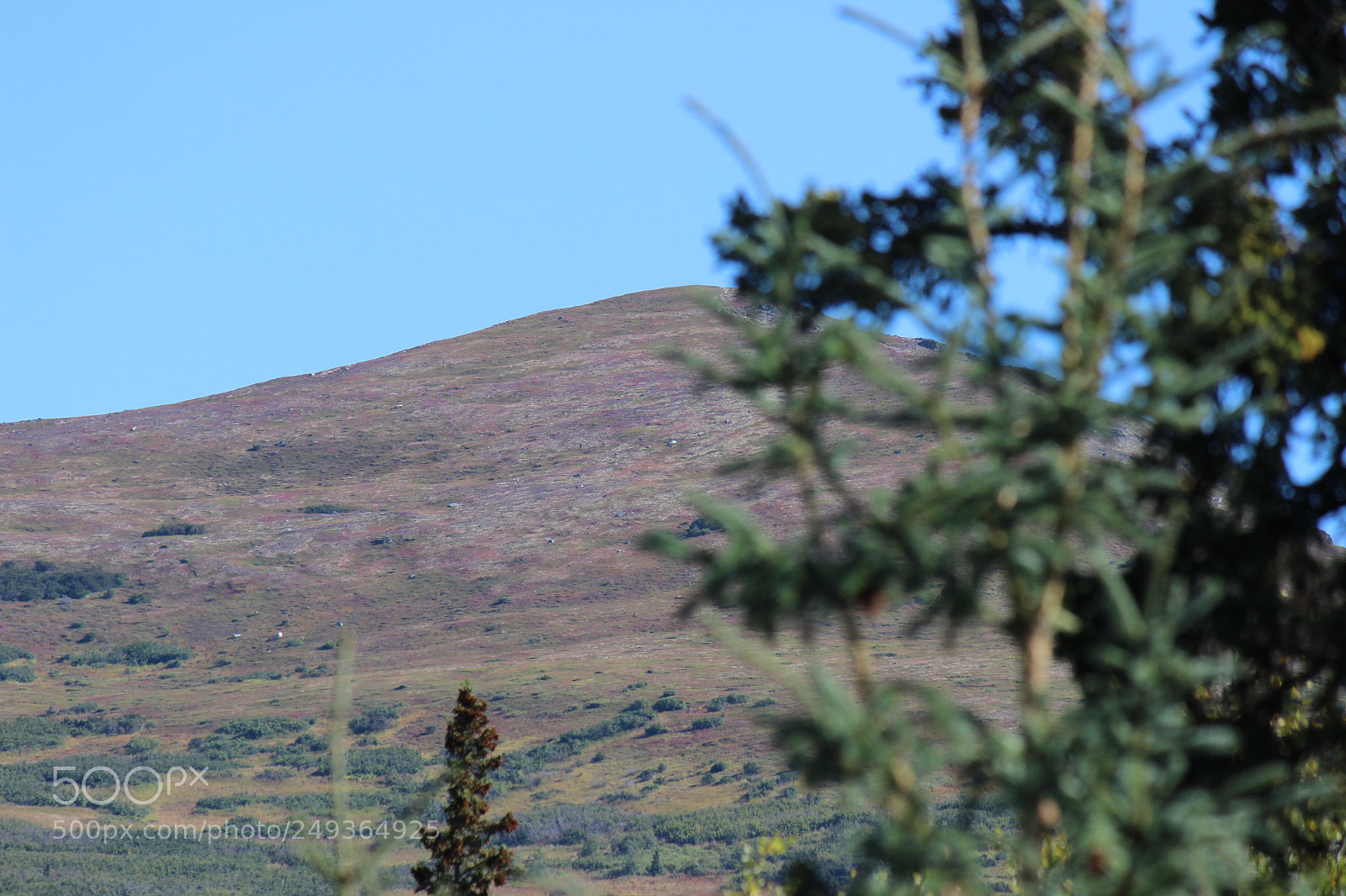 Canon EF-S 55-250mm F4-5.6 IS II sample photo. Img photography