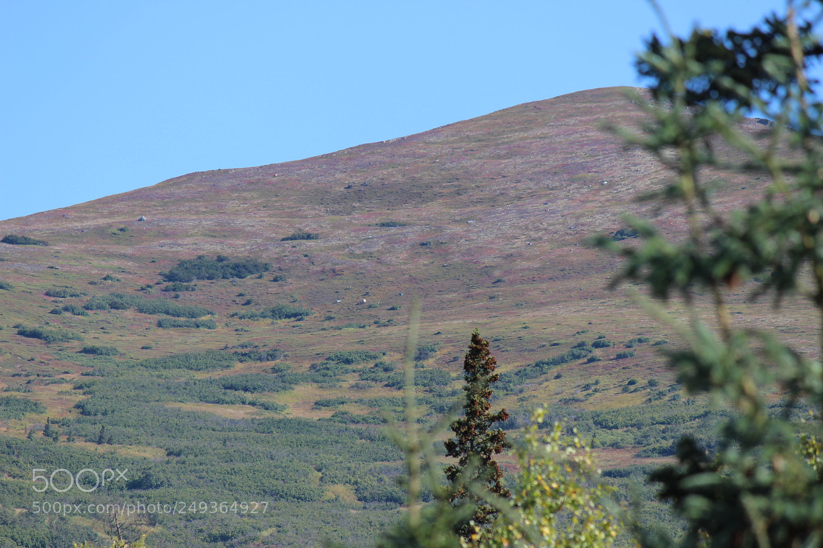 Canon EF-S 55-250mm F4-5.6 IS II sample photo. Img photography