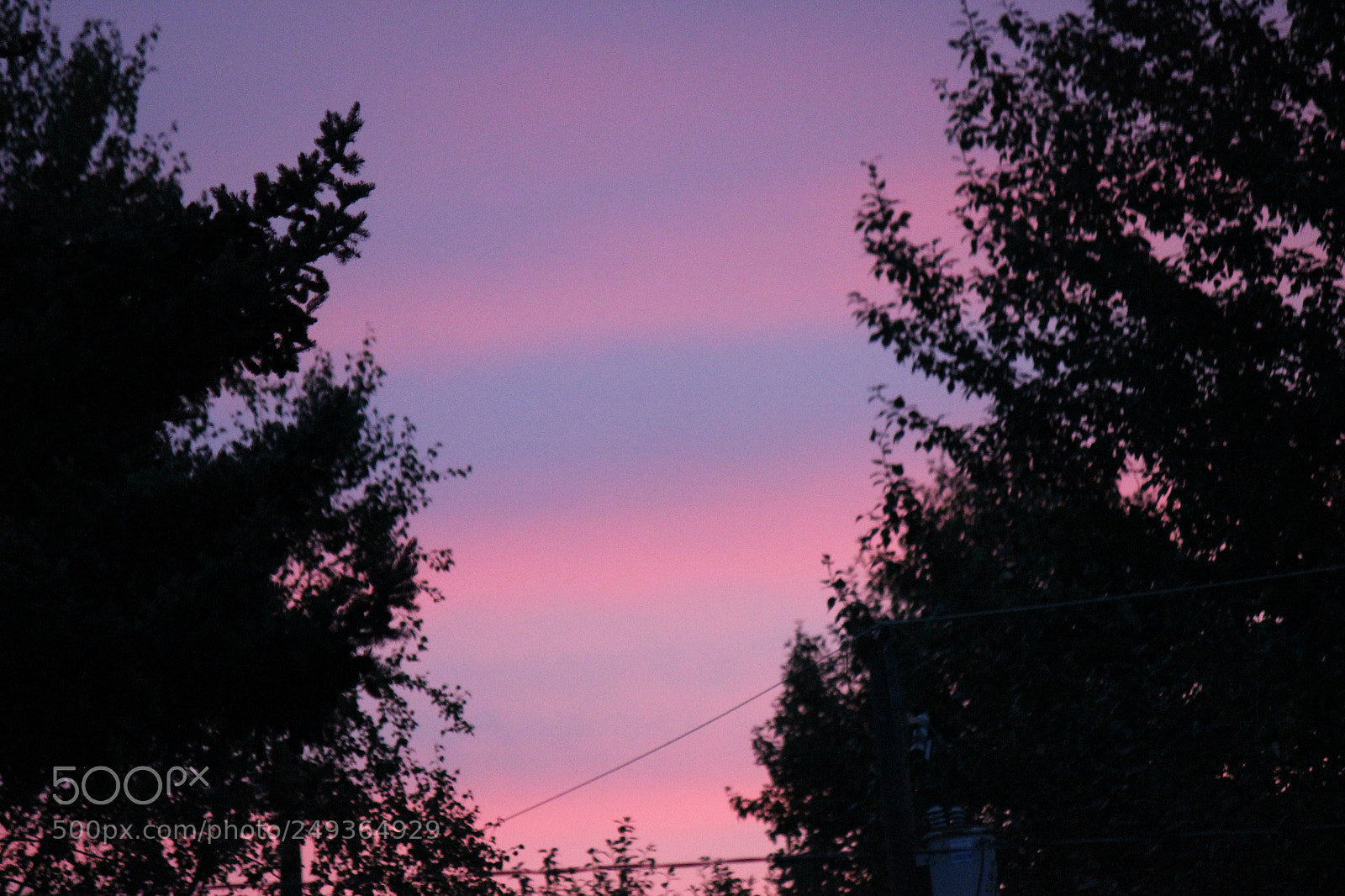 Canon EF-S 55-250mm F4-5.6 IS II sample photo. Img photography