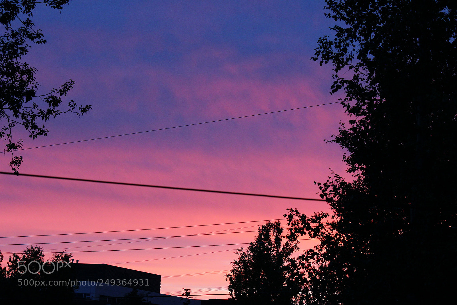 Canon EF-S 55-250mm F4-5.6 IS II sample photo. Img photography