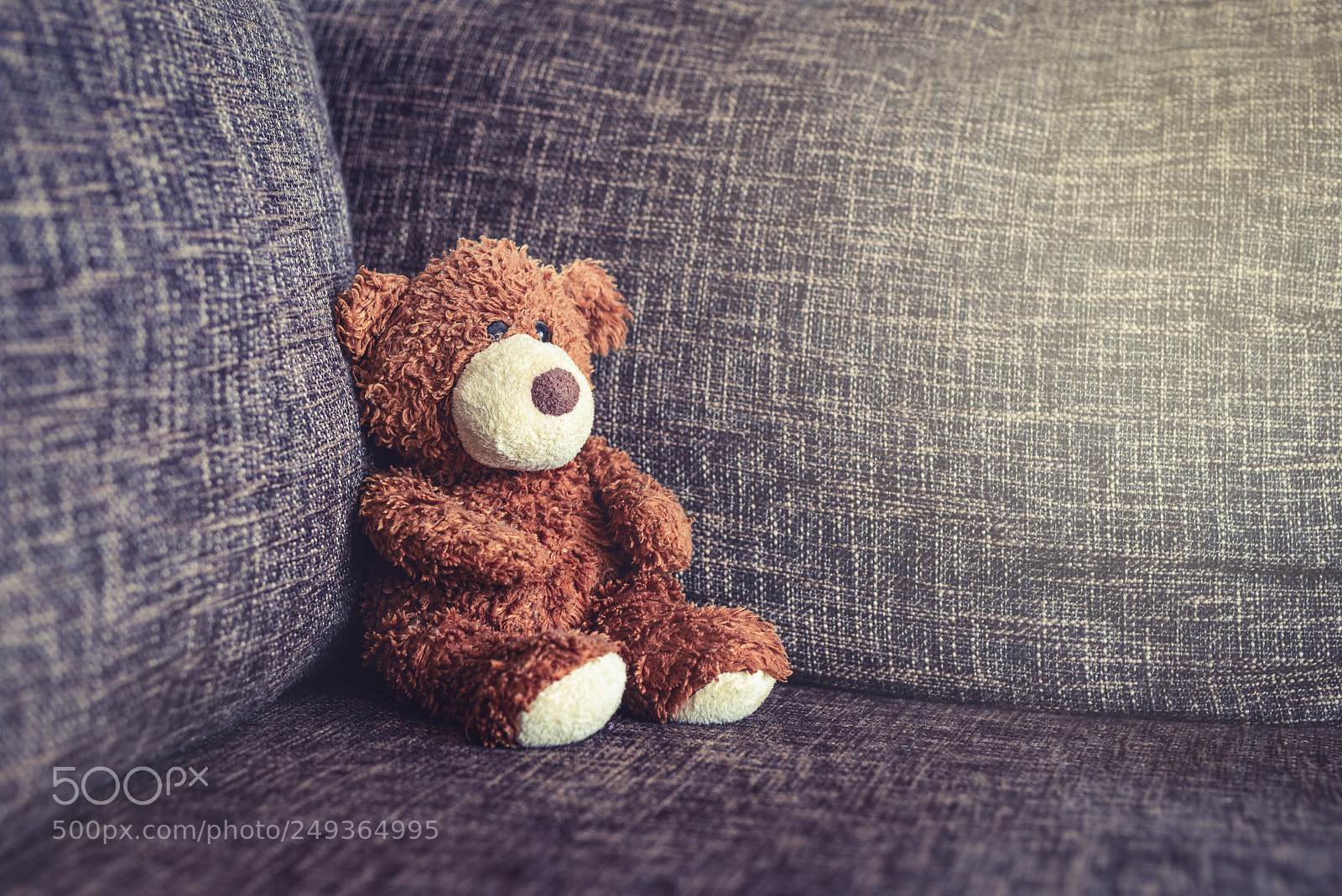 Nikon D610 sample photo. Vintage old teddy bear photography