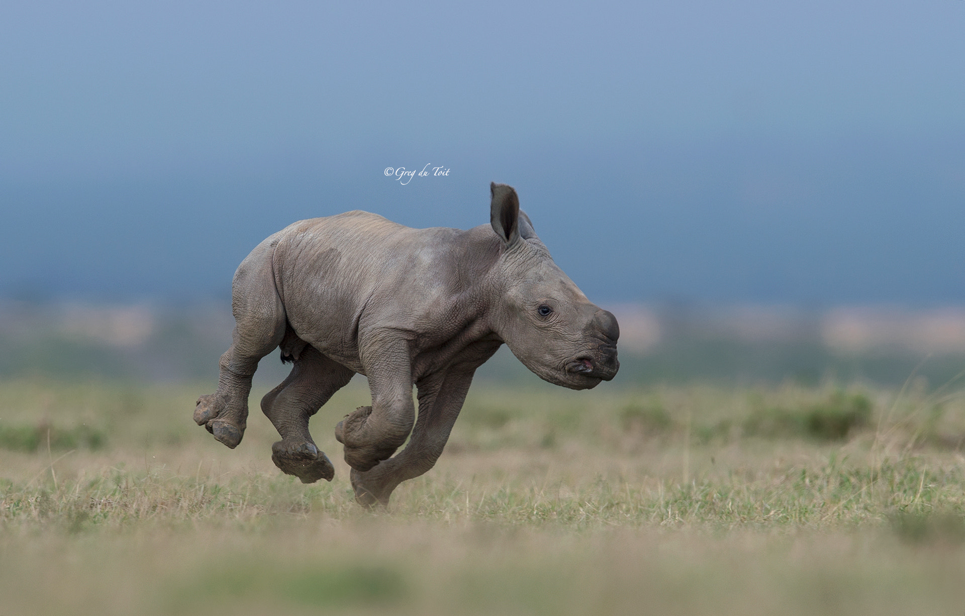 greg du toit (gregdutoit) Photos / 500px - 1170 x 747 jpeg 115kB