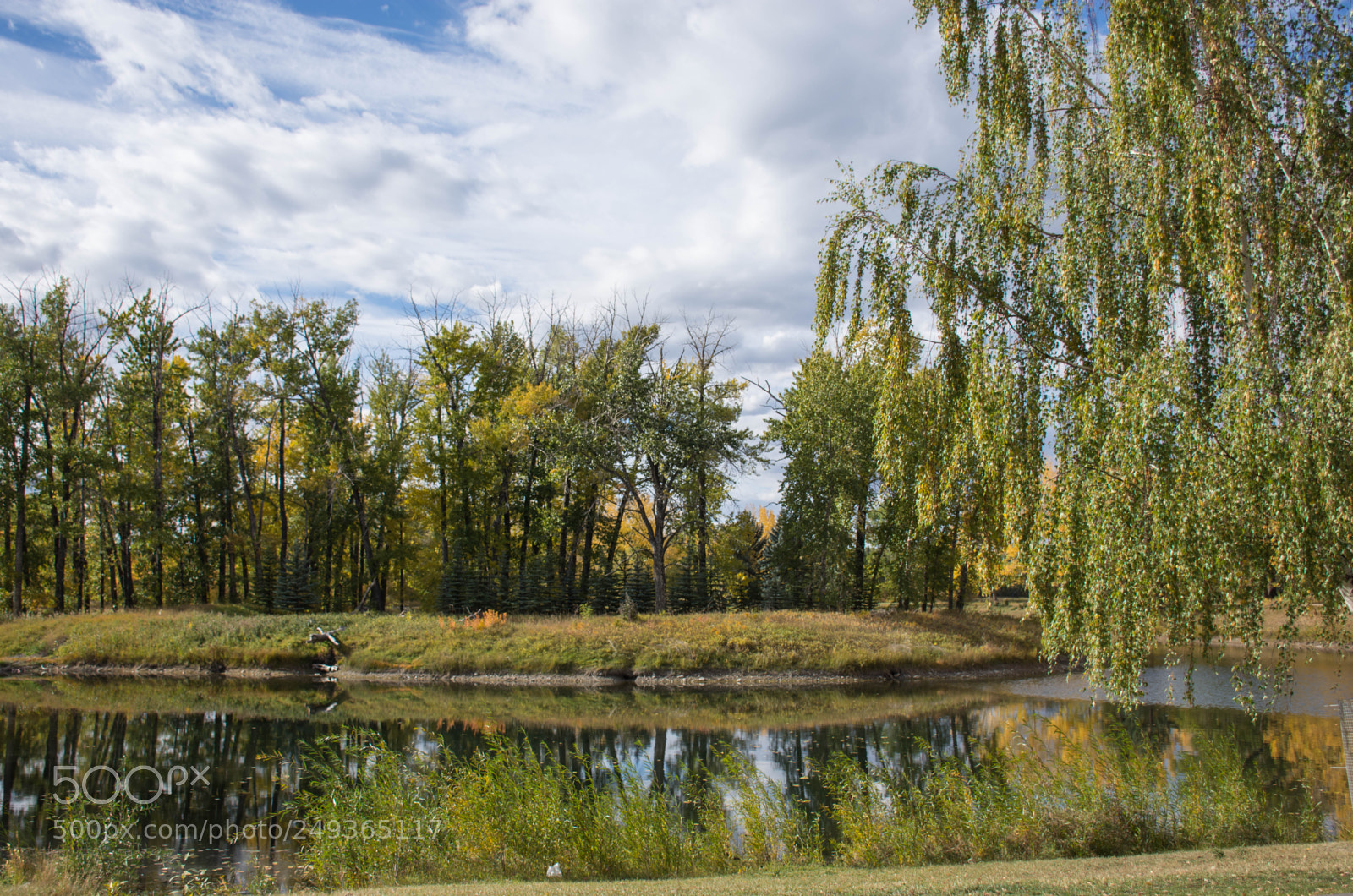 Nikon D7200 sample photo. Carburn park photography