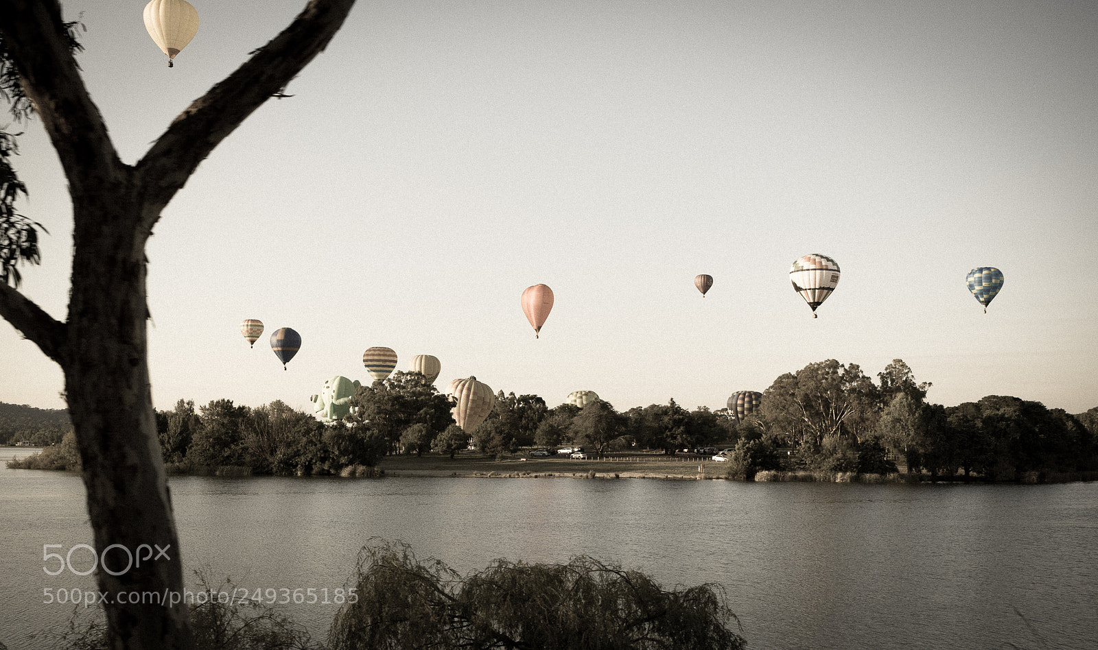 Nikon D500 sample photo. A look back in photography