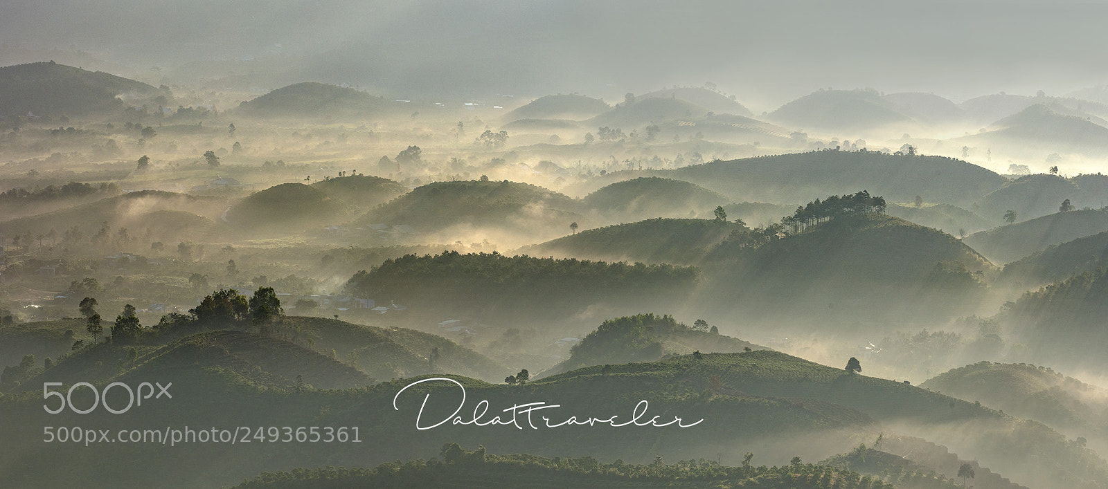 Canon EOS 5DS R sample photo. Valley of mist photography