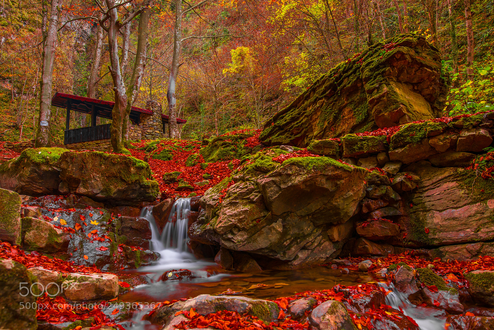 Nikon D810 sample photo. Autumn waterfall photography
