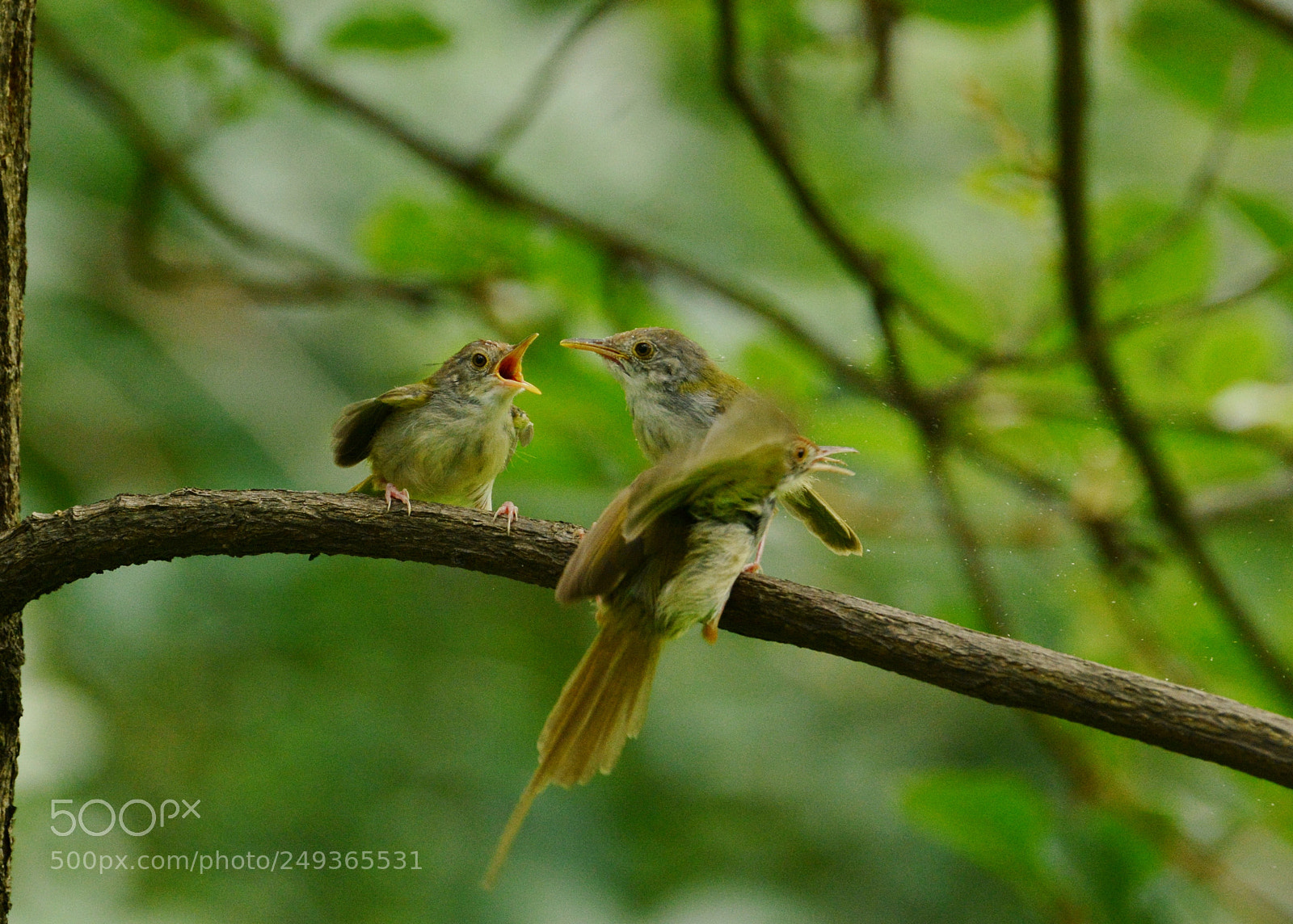 Nikon D7100 sample photo. Untitled photography