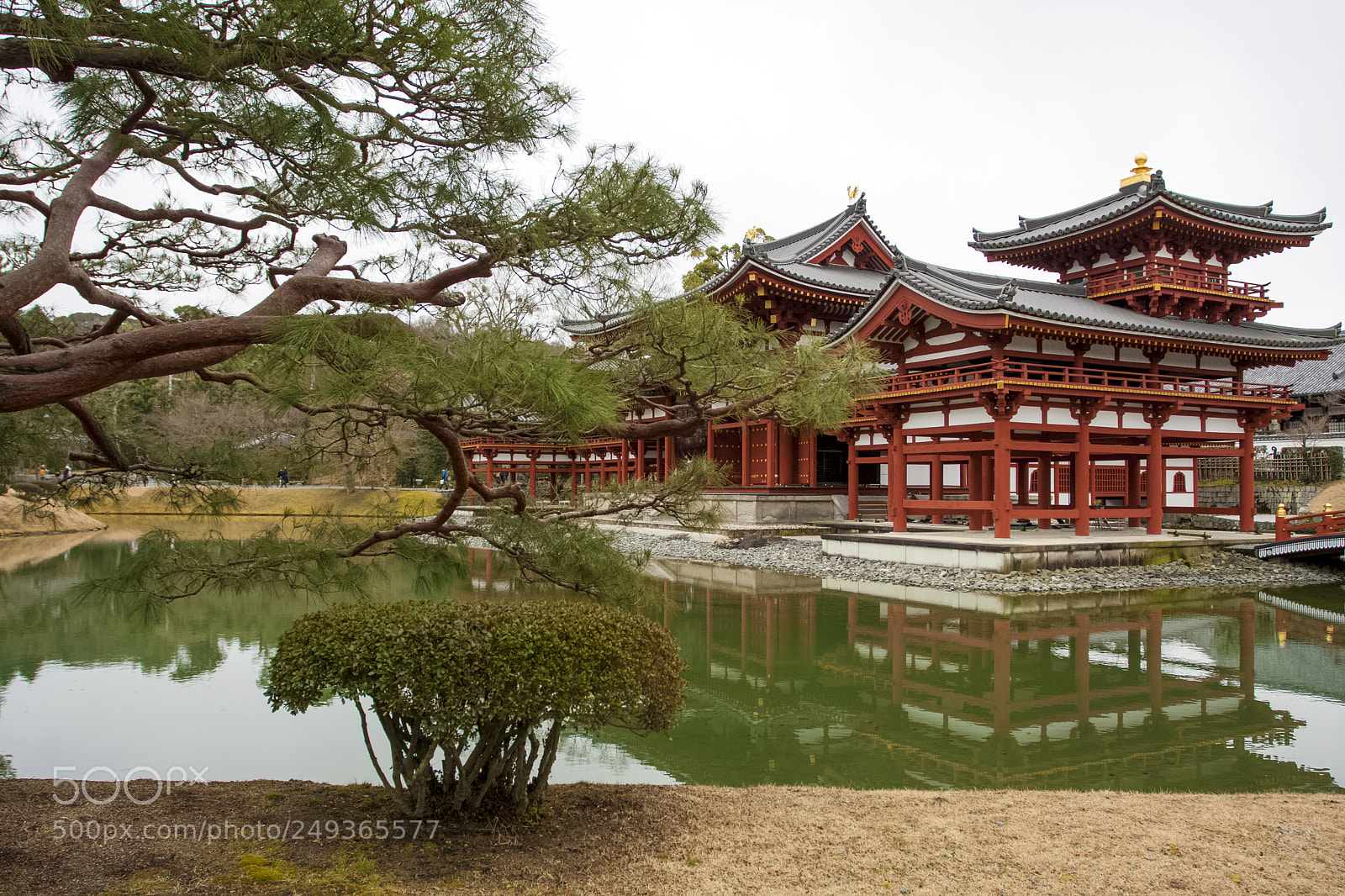 Canon EOS 40D sample photo. Byōdō-in (平等院) photography