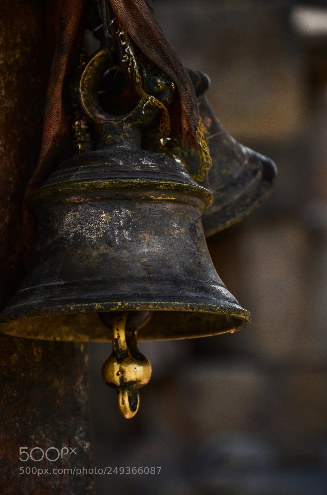 Nikon D7000 sample photo. May i come in.....? photography