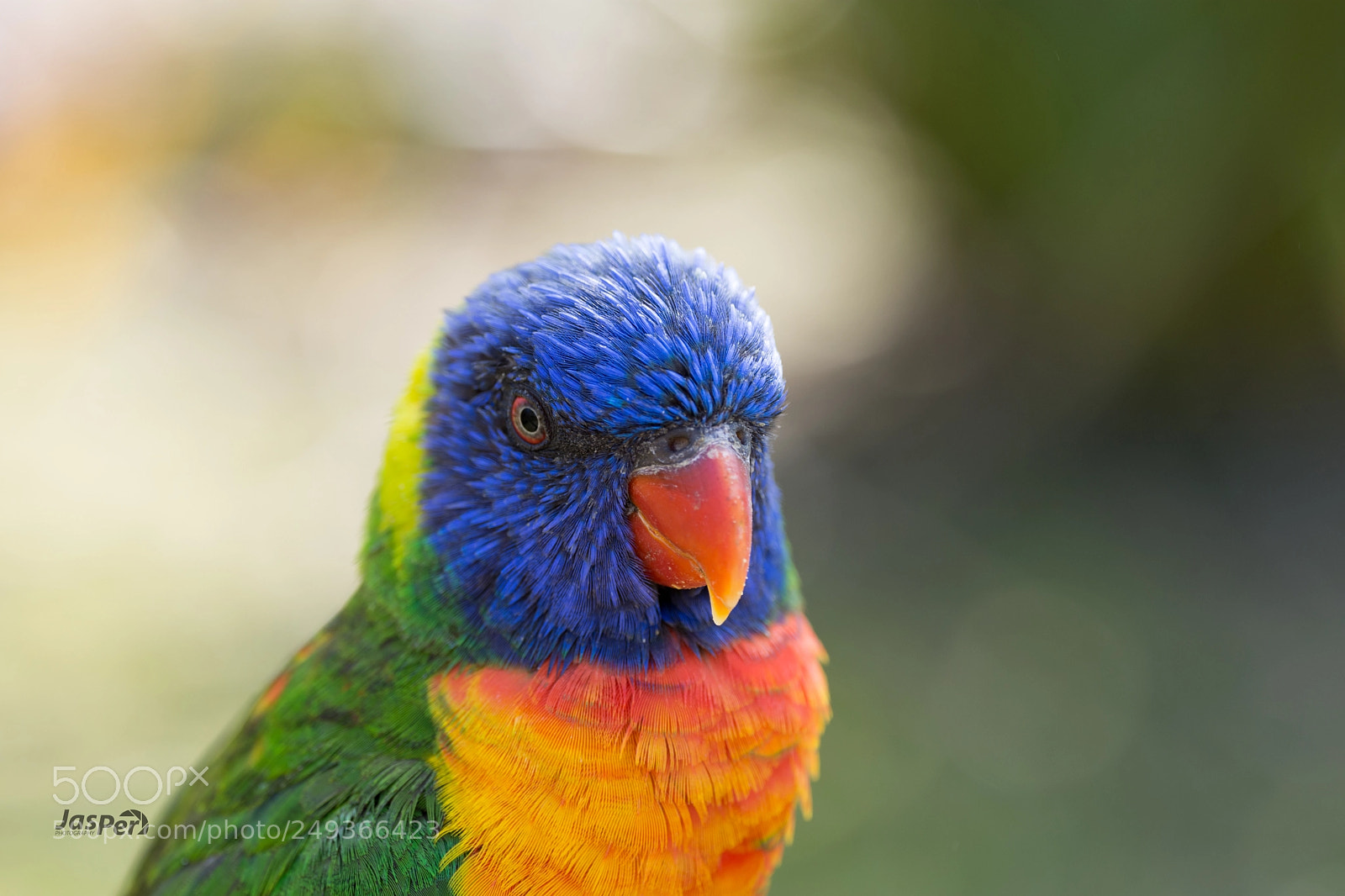Nikon D7200 sample photo. Rainbow photography