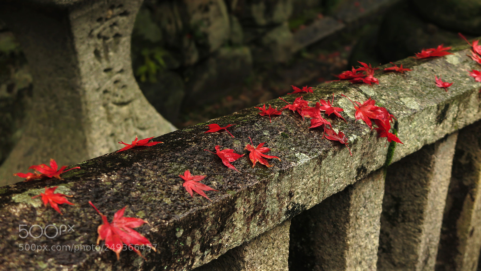 Canon PowerShot G1 X Mark II sample photo. Red burn. photography