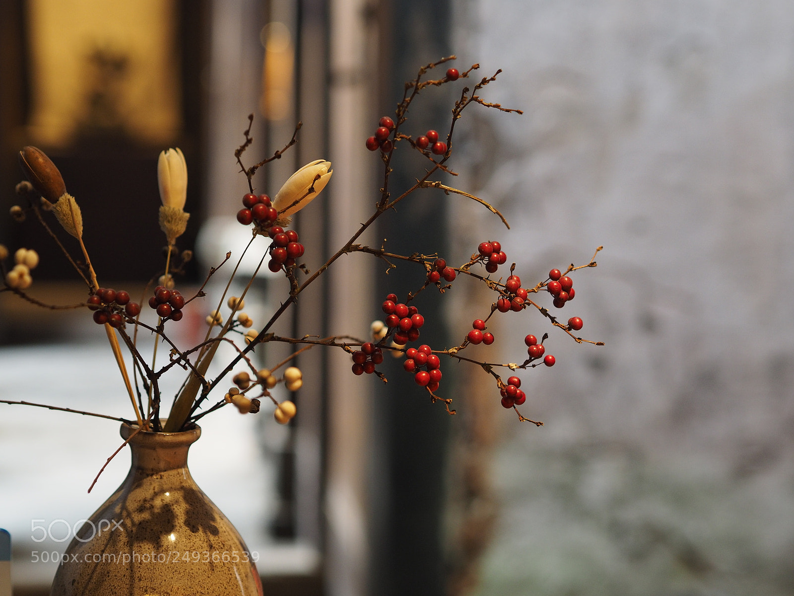 Olympus OM-D E-M1 sample photo. The chinese decoration with photography
