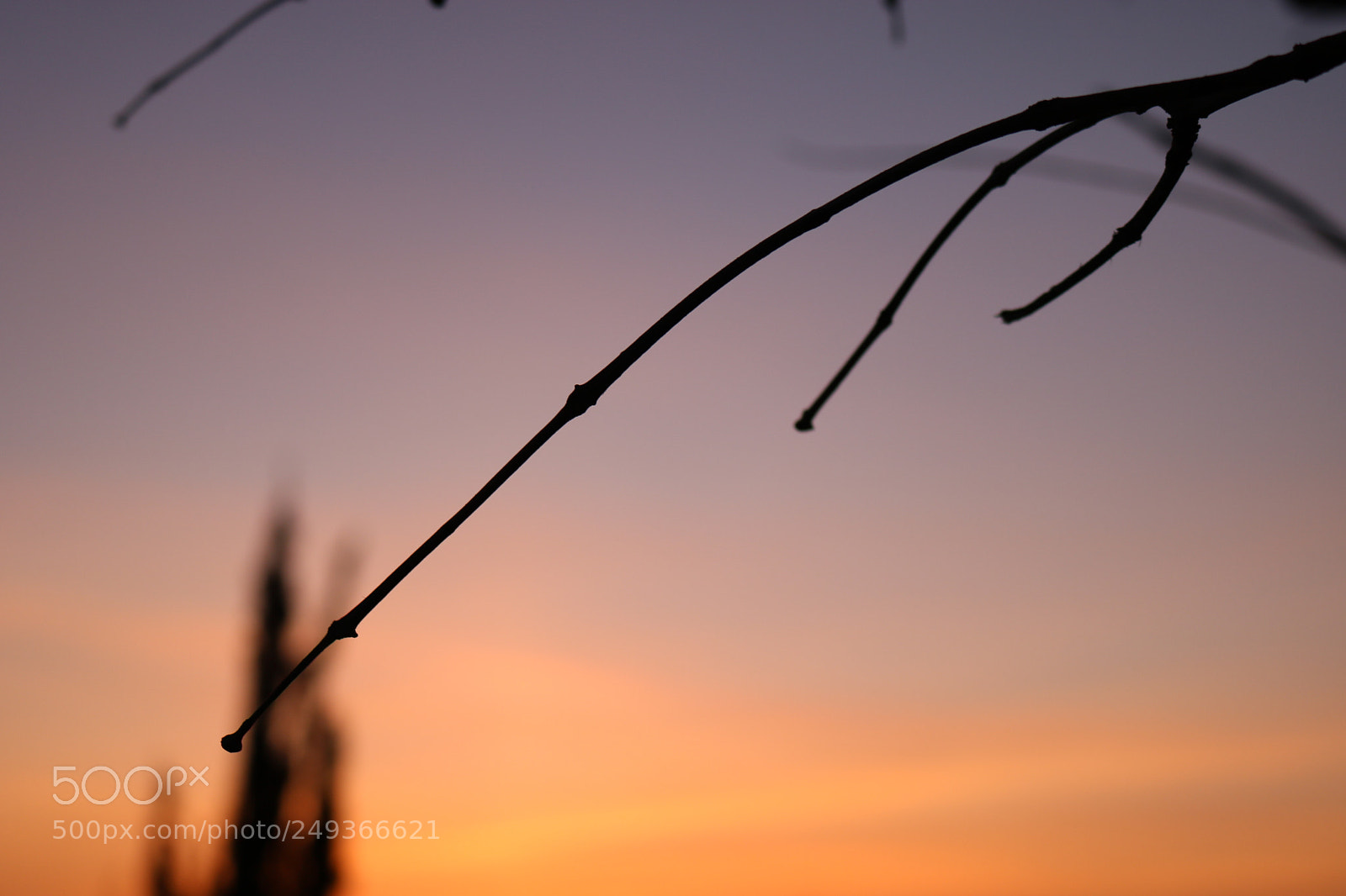 Canon EOS 750D (EOS Rebel T6i / EOS Kiss X8i) sample photo. Img photography