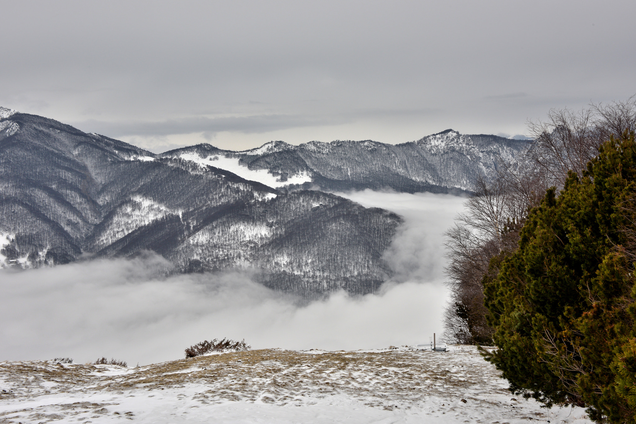 Nikon D810 sample photo. Winter colors photography