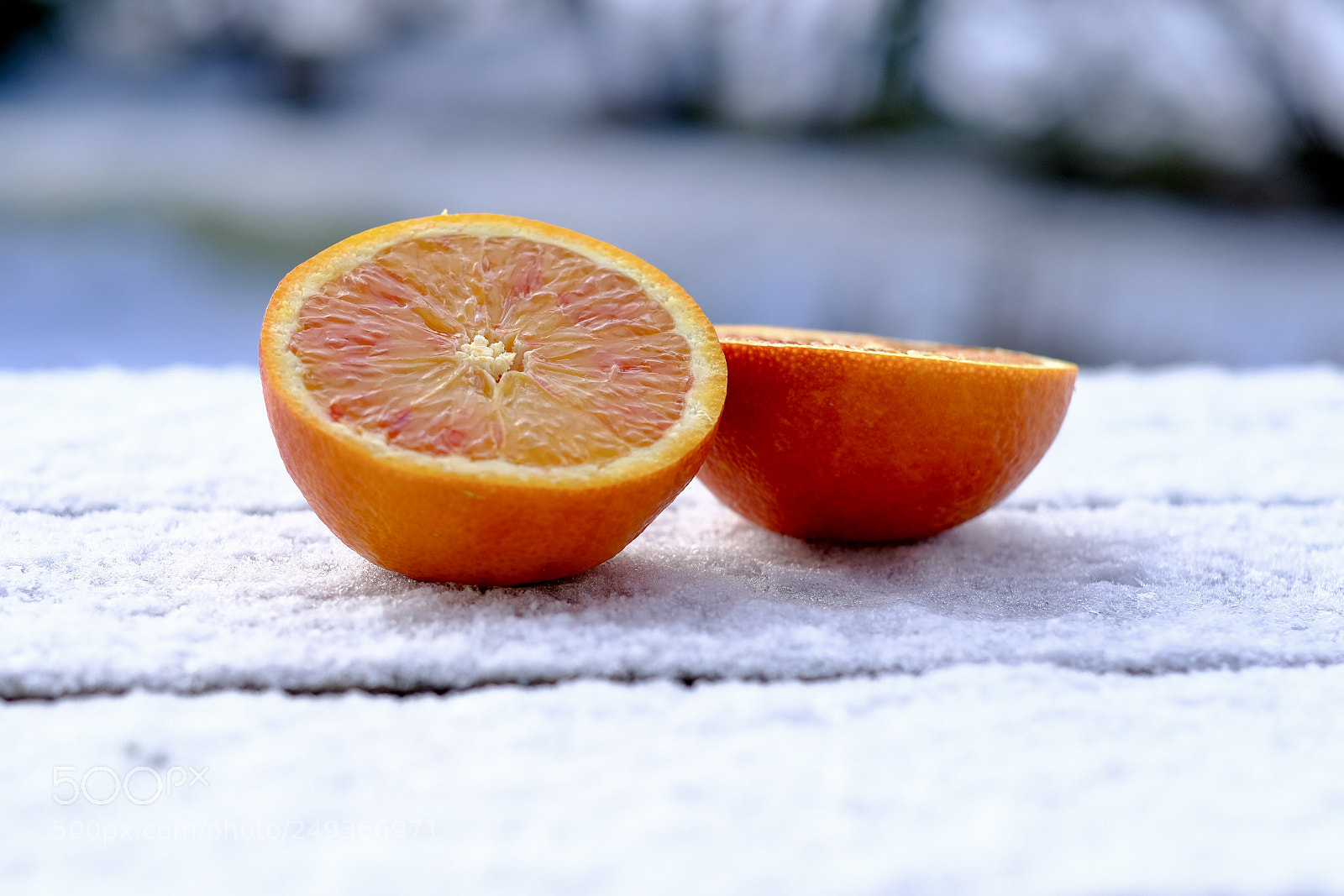 Fujifilm X-T2 sample photo. Oranges during wintertime photography