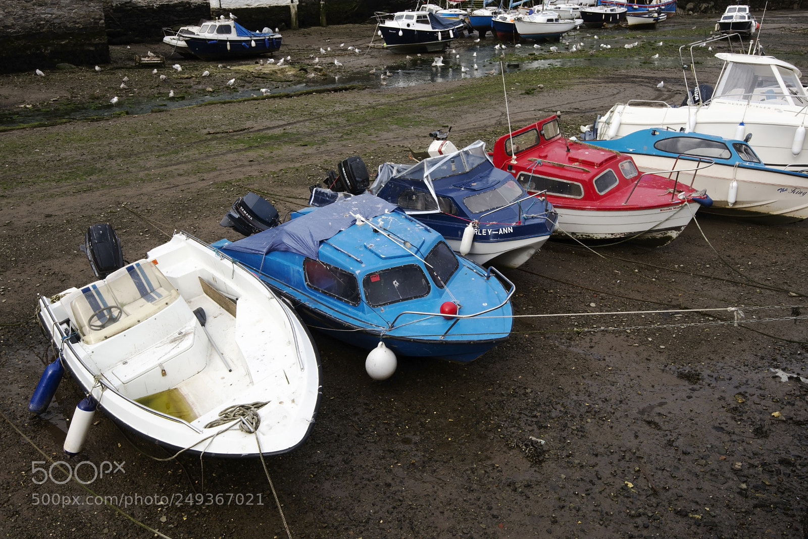 Nikon D600 sample photo. Tide waiters! (1) photography