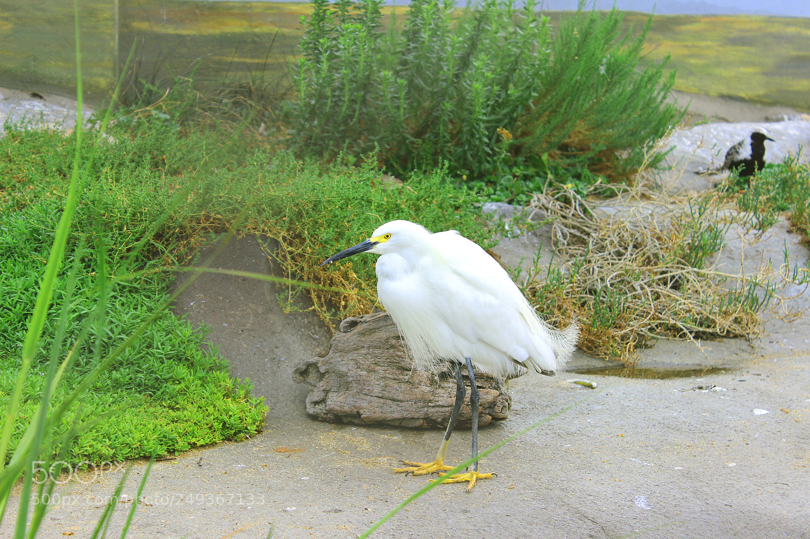 Canon EOS 600D (Rebel EOS T3i / EOS Kiss X5) sample photo. Img photography