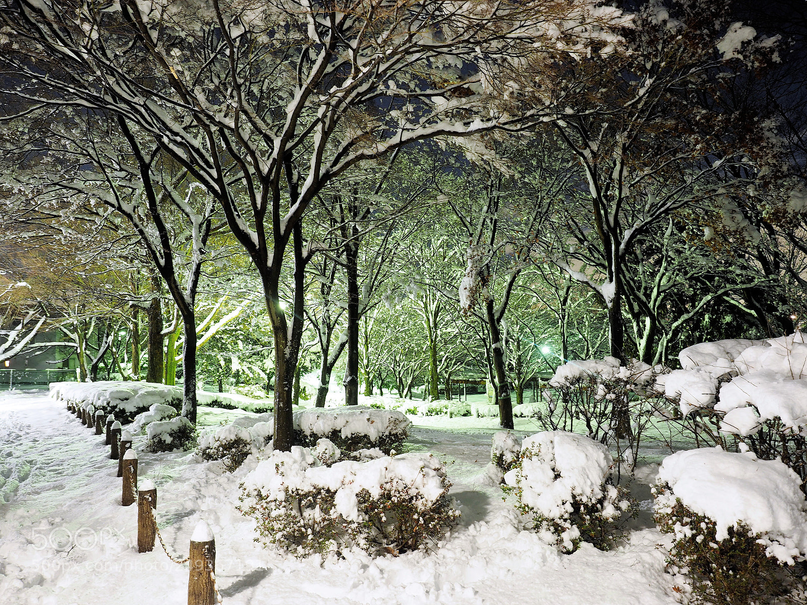 Olympus OM-D E-M1 sample photo. Snow scene at the photography