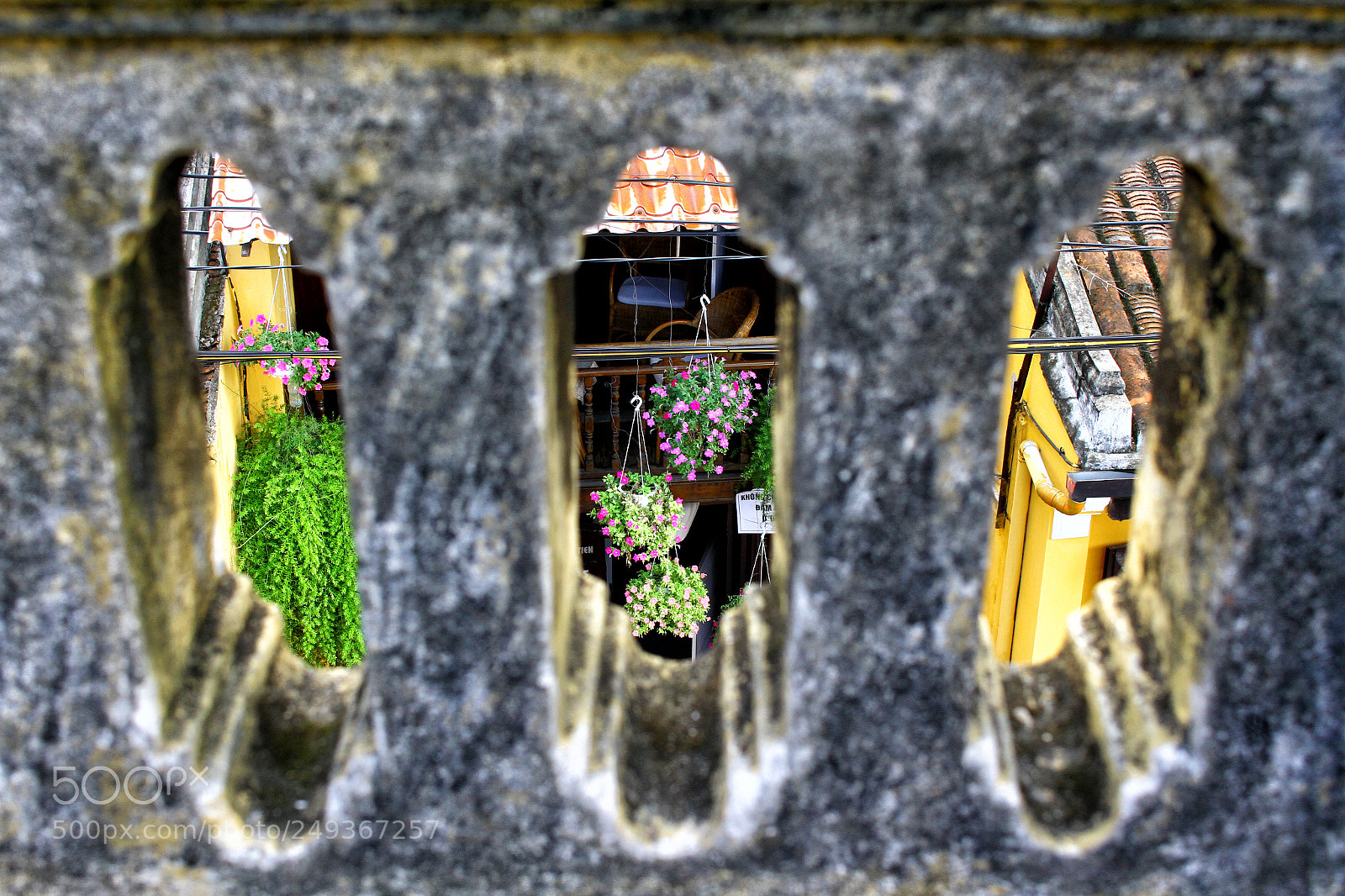 Canon EOS 7D sample photo. A beautiful life is photography