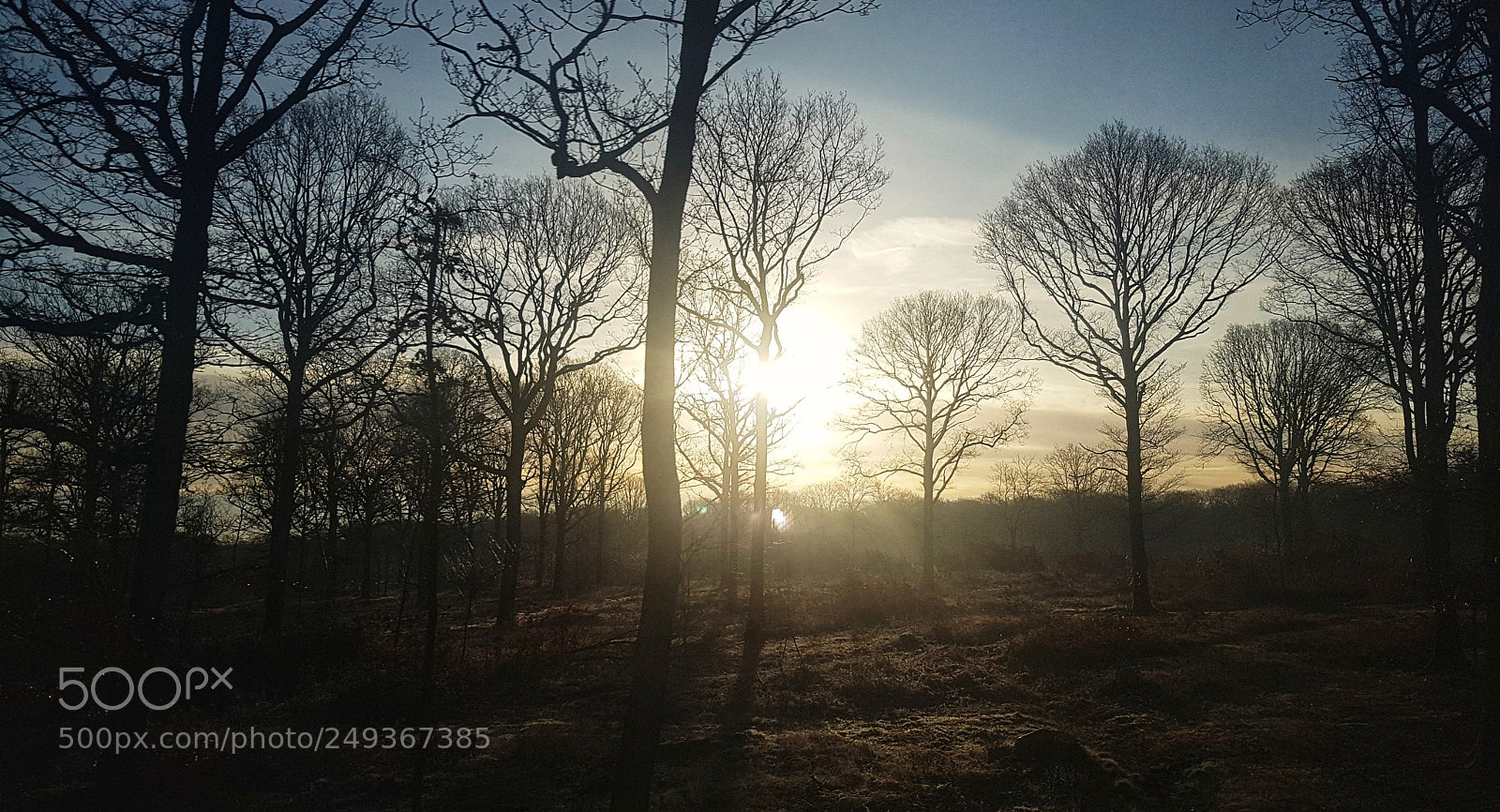 Samsung Galaxy S7 sample photo. Commuting photography