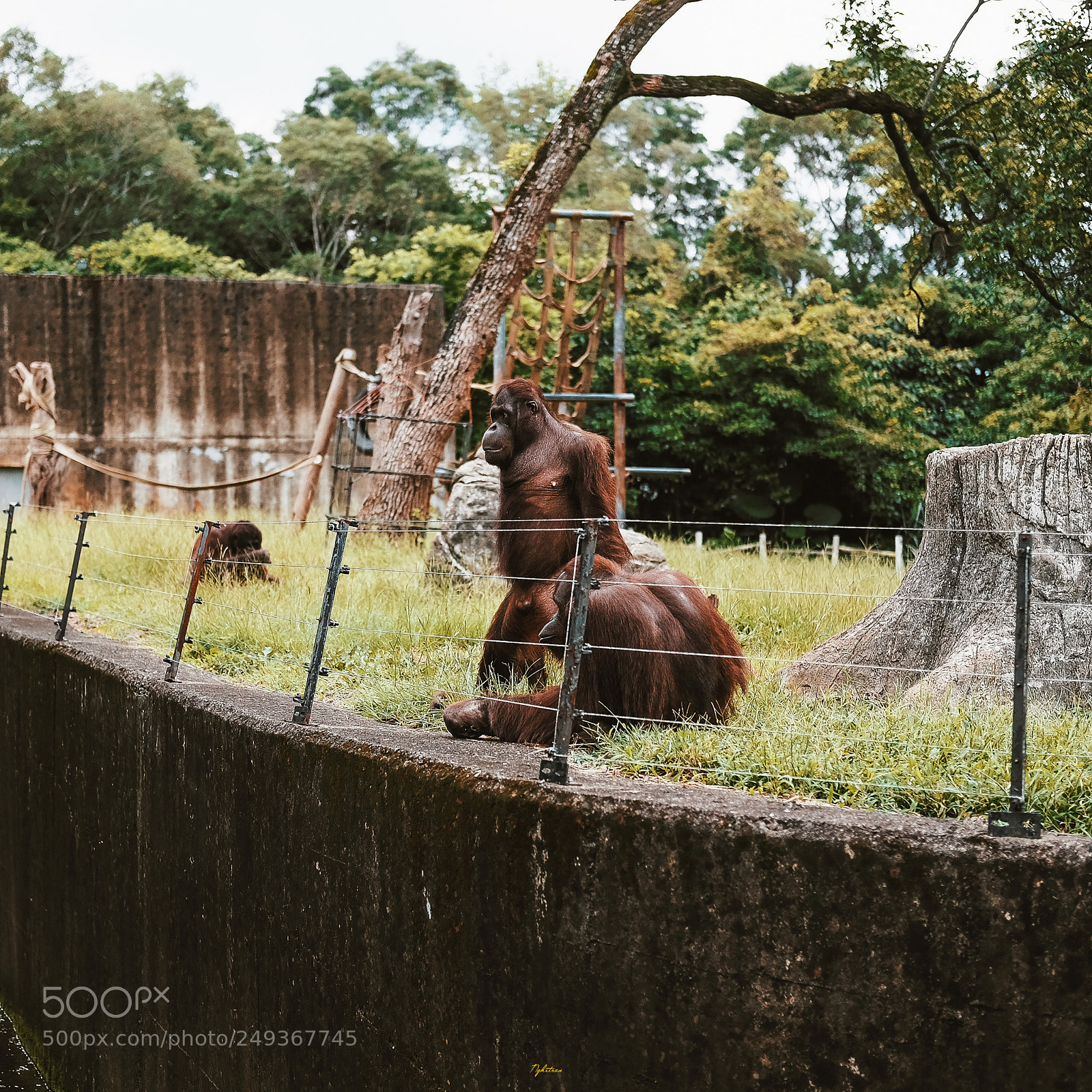 Fujifilm X-T10 sample photo. Zoo - taiwan photography