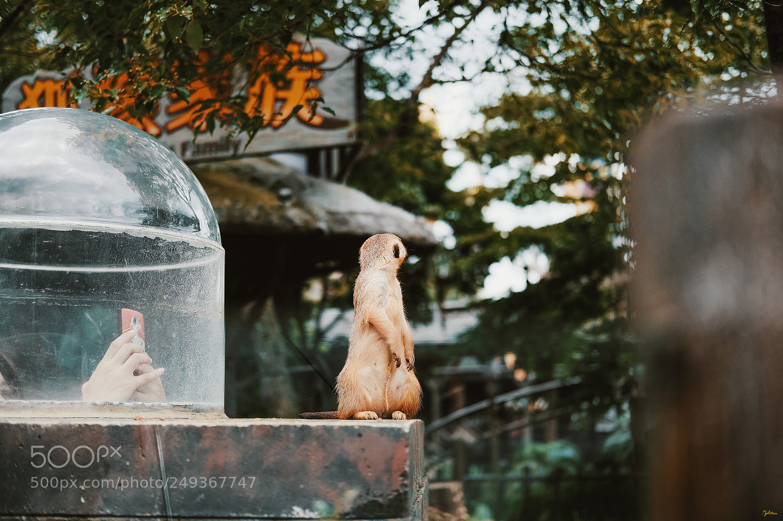 Fujifilm X-T10 sample photo. Zoo - taiwan photography