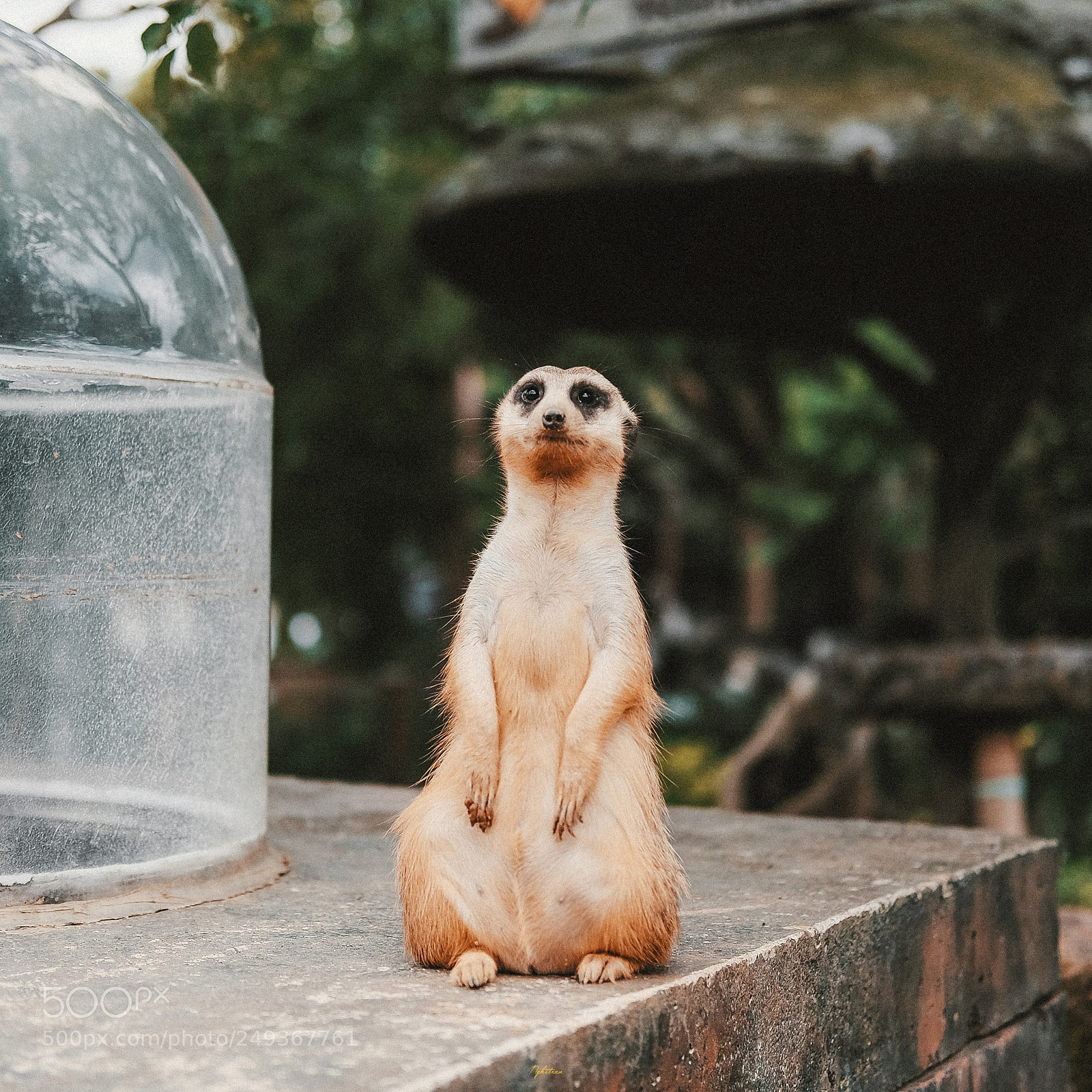 Fujifilm X-T10 sample photo. Zoo - taiwan photography