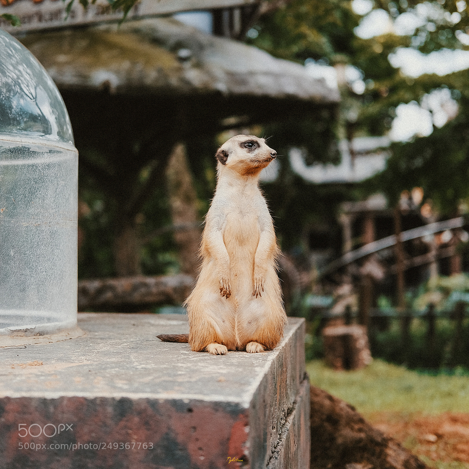 Fujifilm X-T10 sample photo. Zoo - taiwan photography