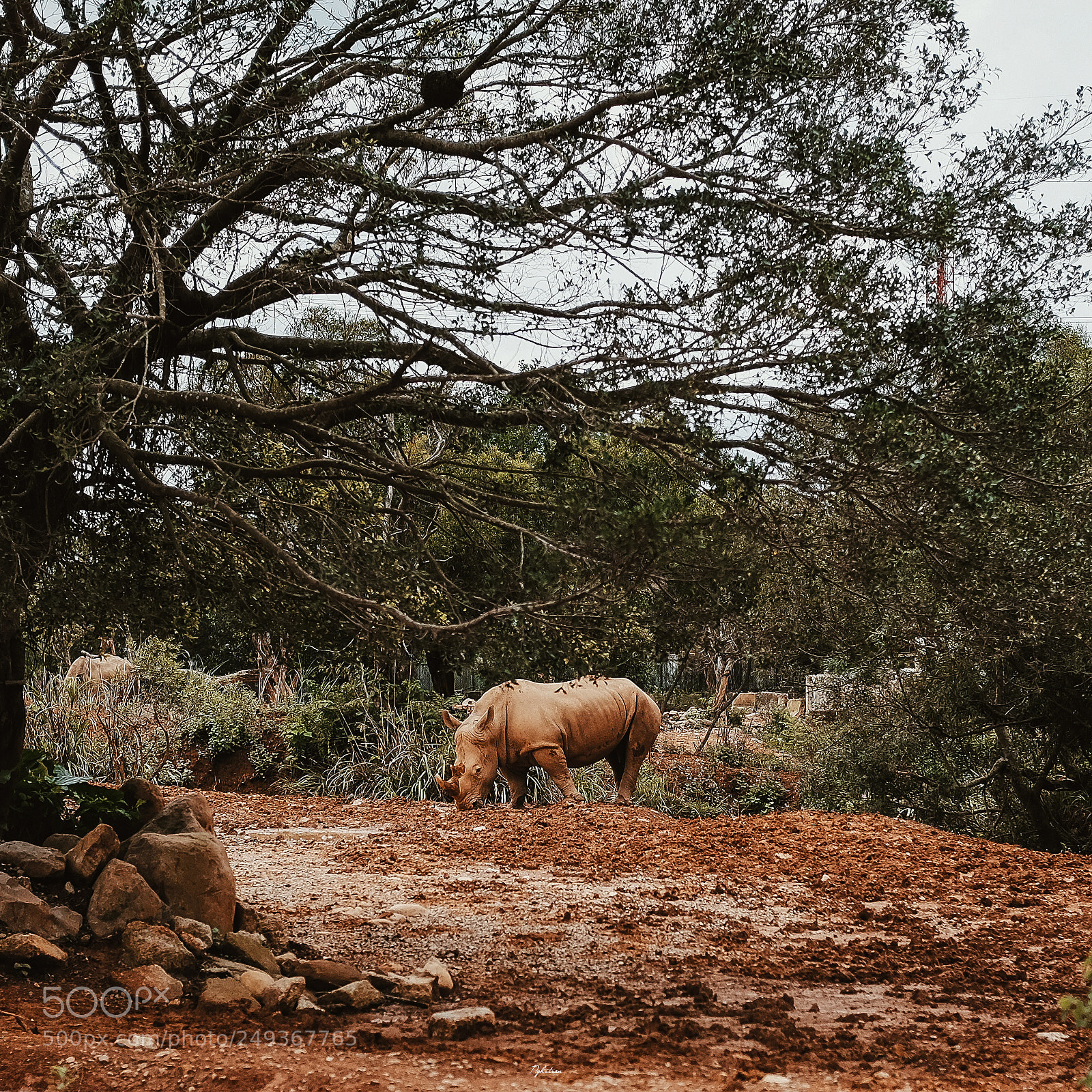 Fujifilm X-T10 sample photo. Zoo - taiwan photography