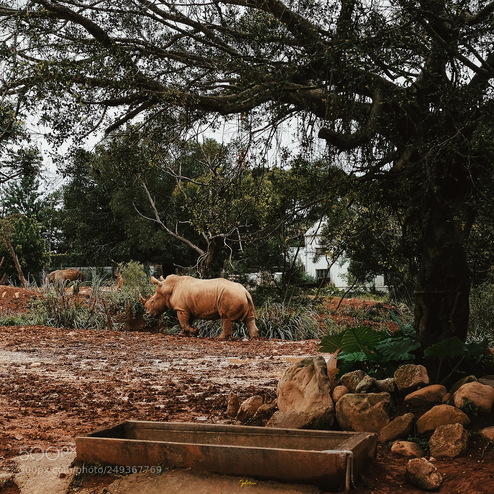 Fujifilm X-T10 sample photo. Zoo - taiwan photography