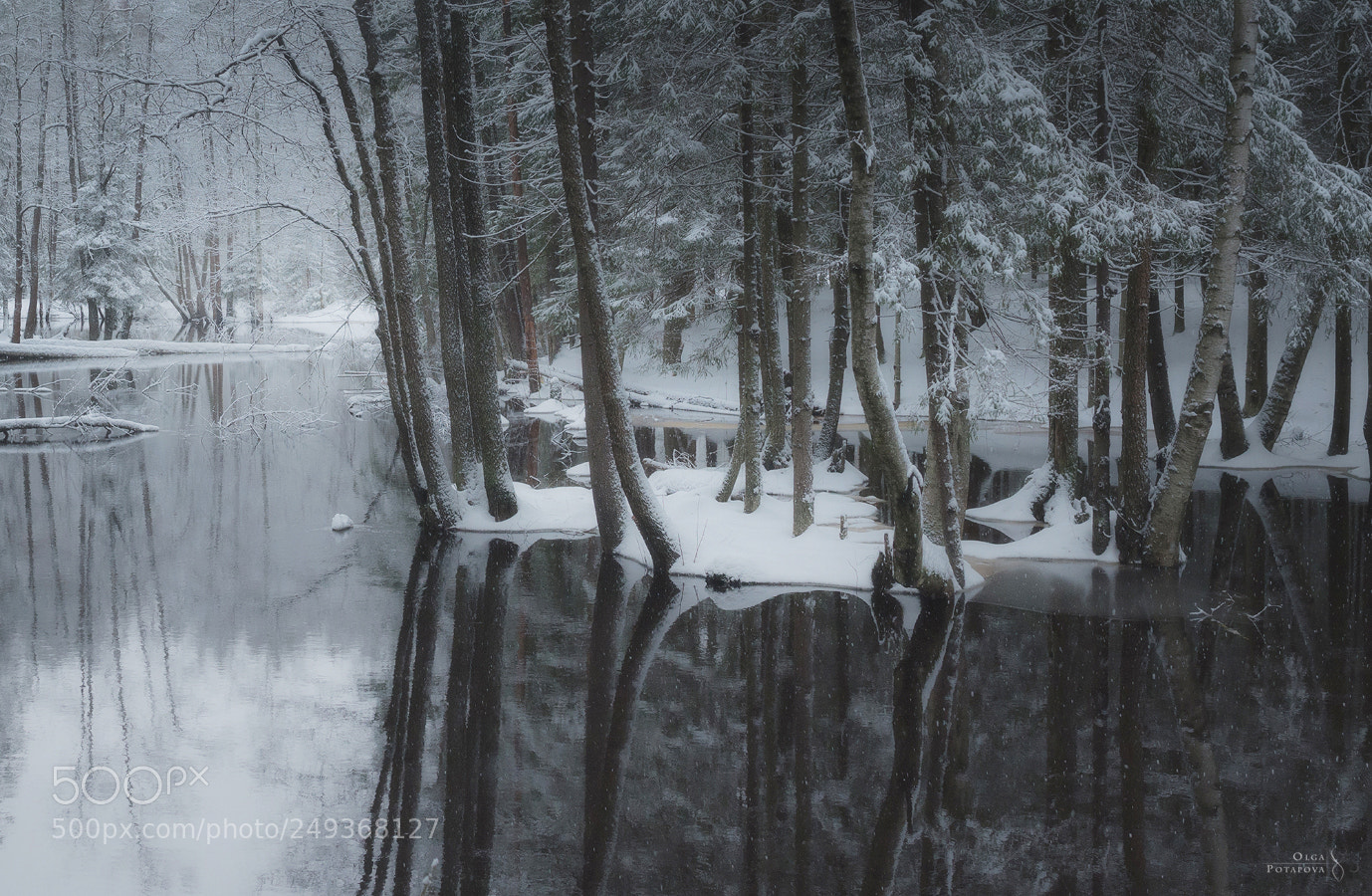 Nikon D600 sample photo. Winter sketch photography