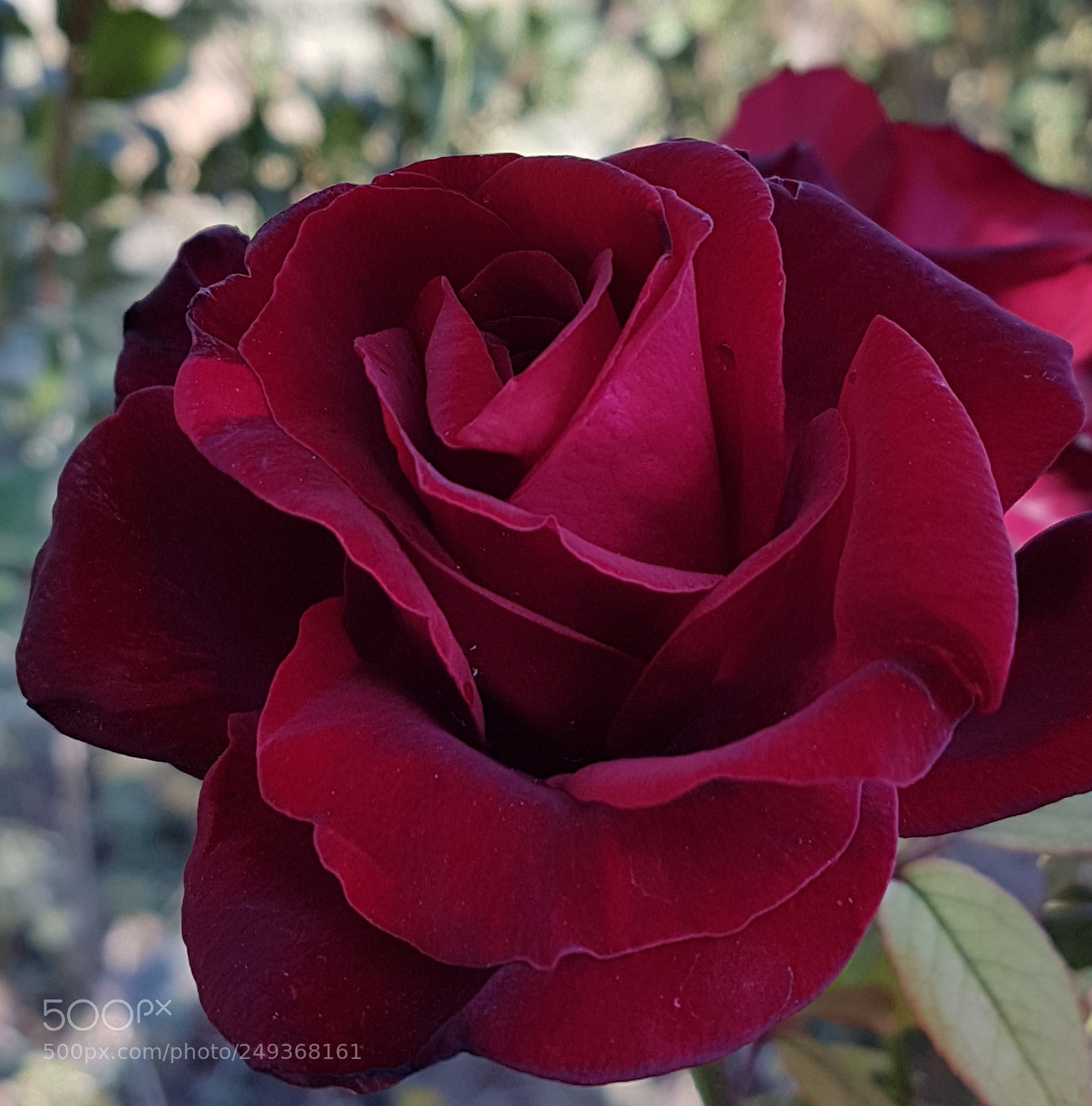Samsung Galaxy S7 sample photo. Untitled photography