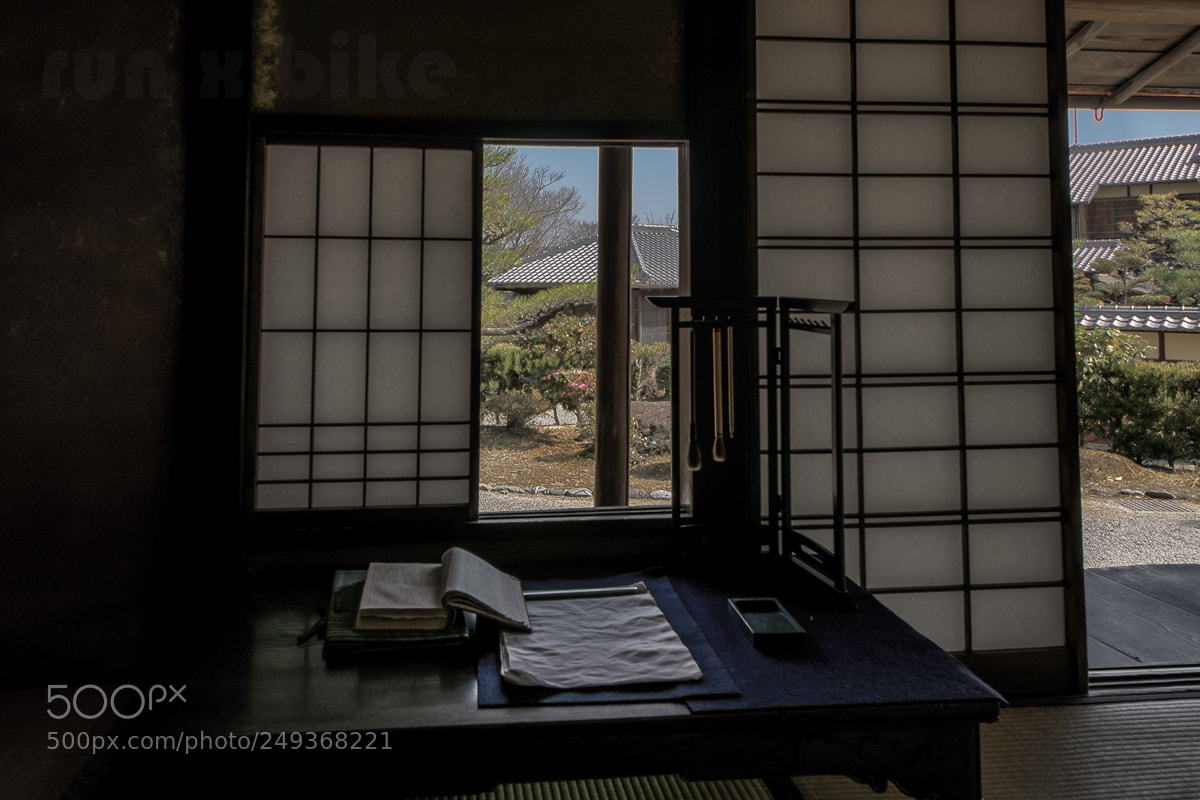 Nikon D5300 sample photo. Spring (2018 view) photography