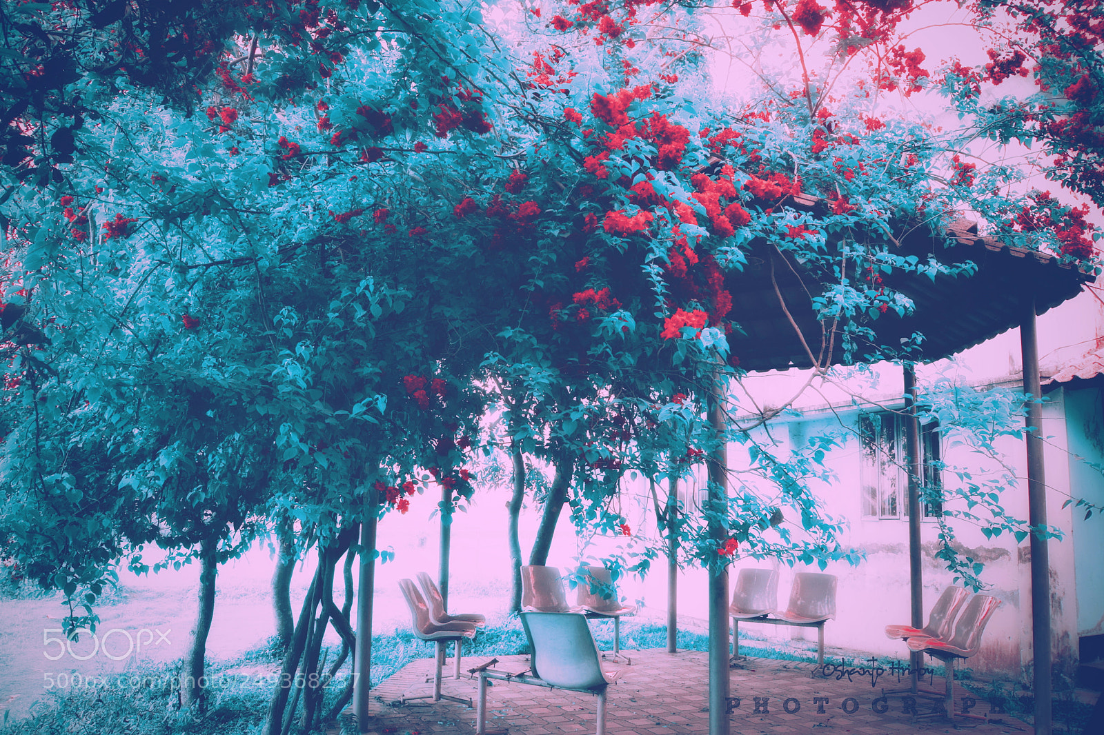 Nikon D5300 sample photo. Processed with vsco with photography