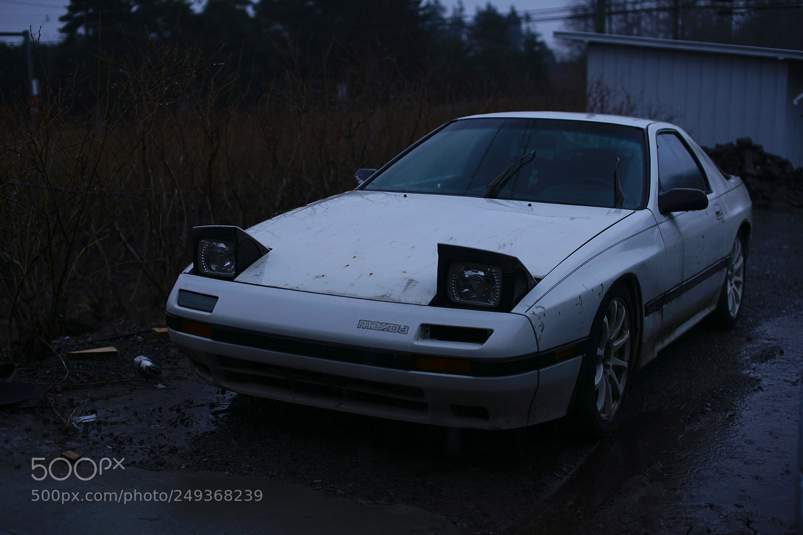 Sony a7R II sample photo. Untitled photography