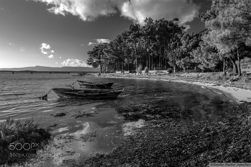 Nikon D800 sample photo. Copia photography