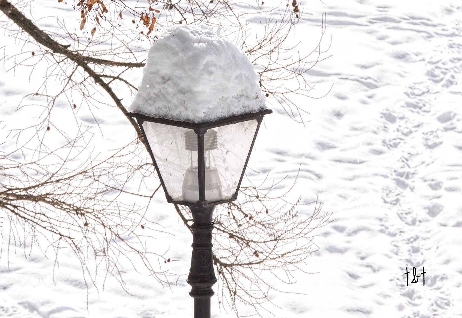 Canon EOS 7D sample photo. Untitled photography