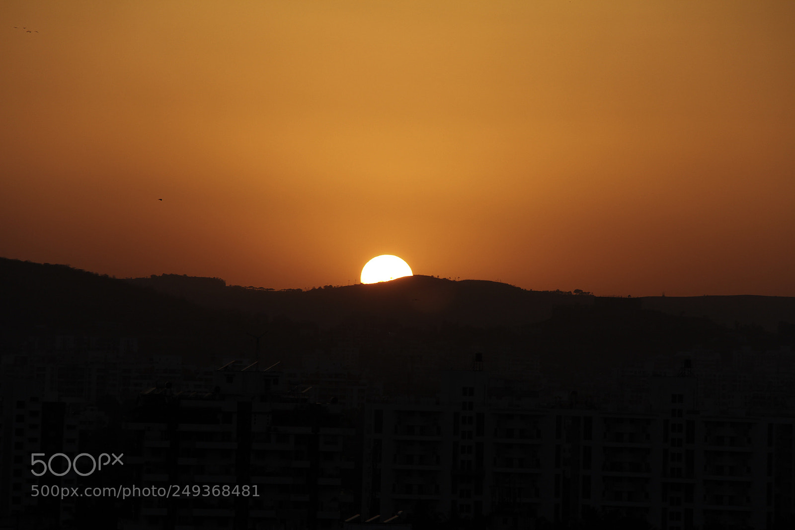 Canon EOS 60D sample photo. Untitled photography