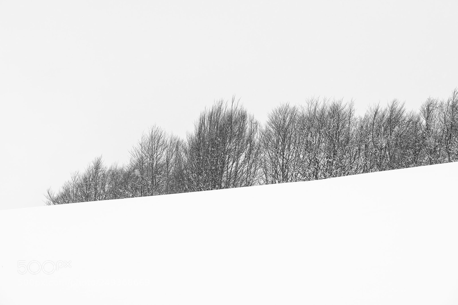 Fujifilm X-Pro2 sample photo. San valentino#3 photography