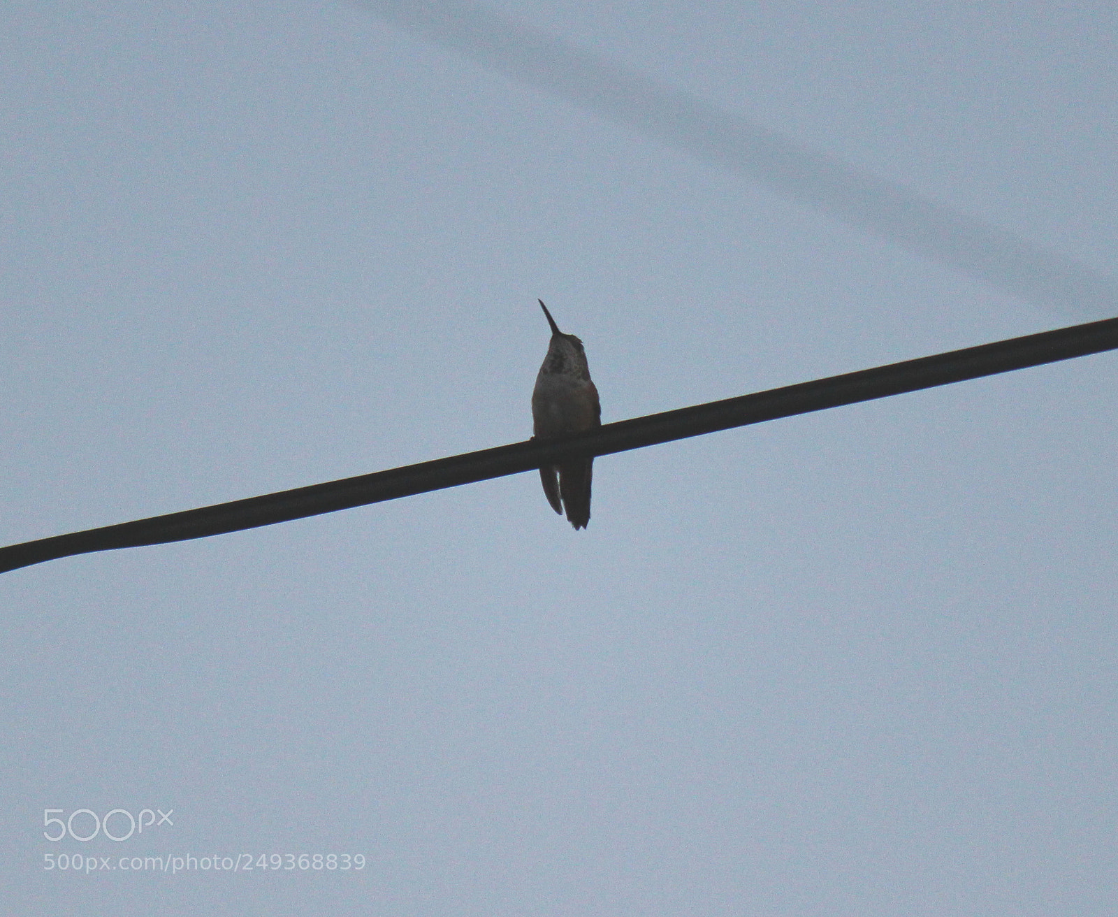 Canon EOS 600D (Rebel EOS T3i / EOS Kiss X5) sample photo. Img photography