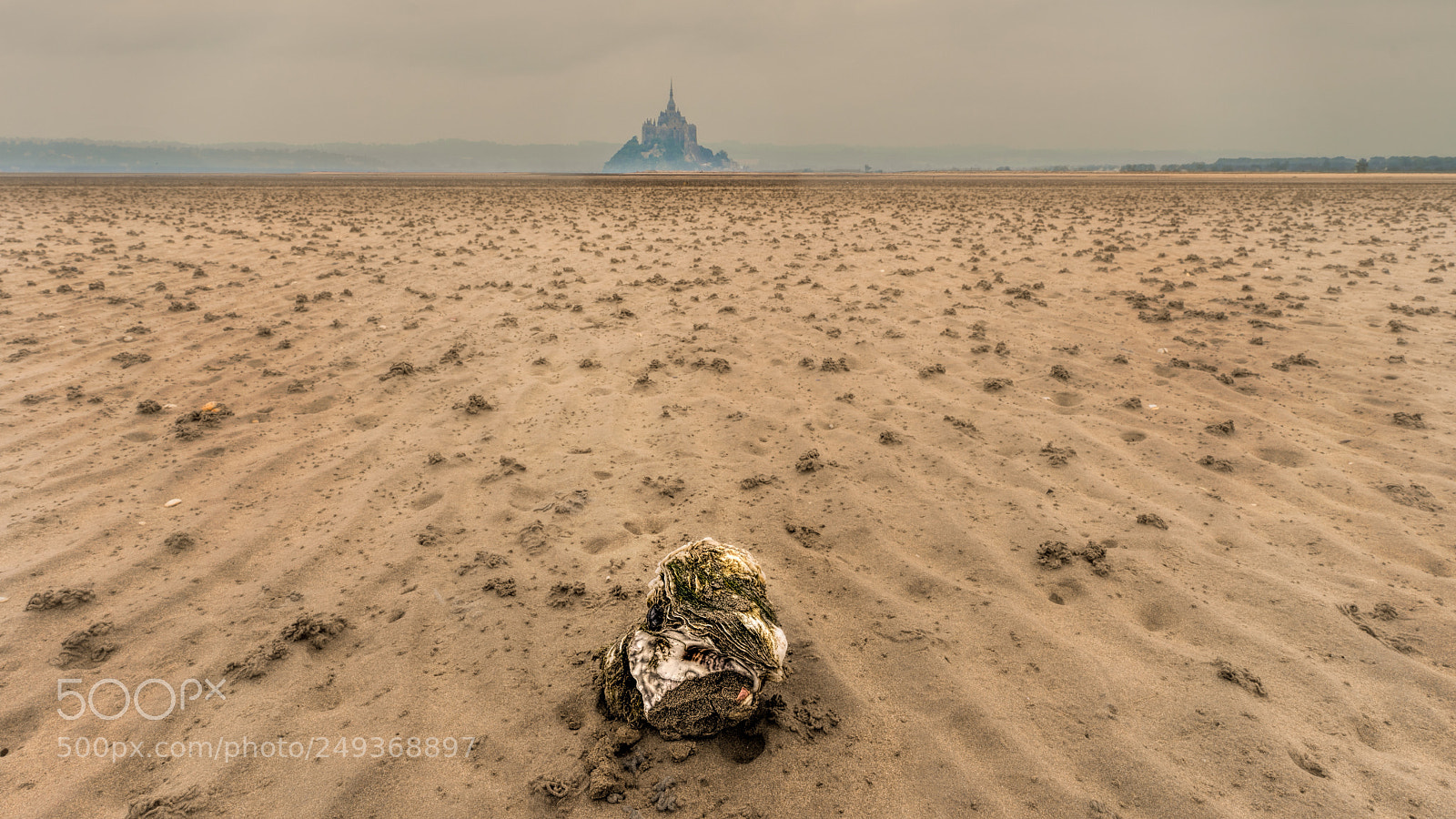 Sony a7 II sample photo. Le mont et la photography