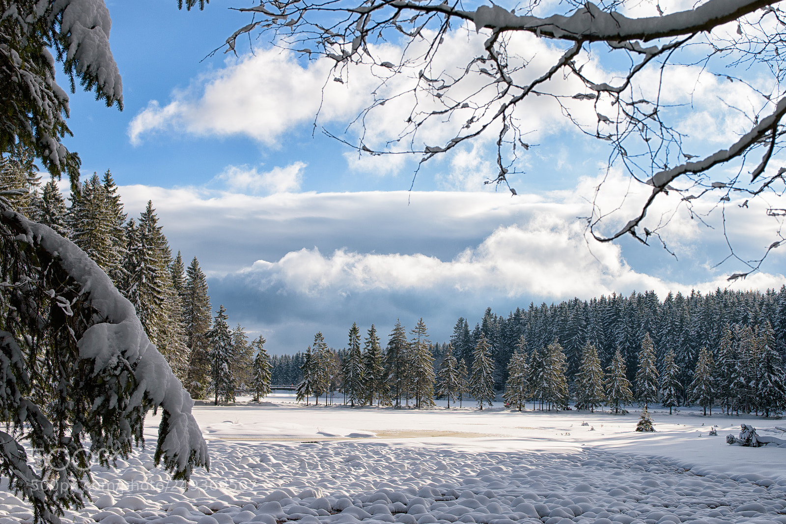 Nikon D5500 sample photo. Fichtelsee photography
