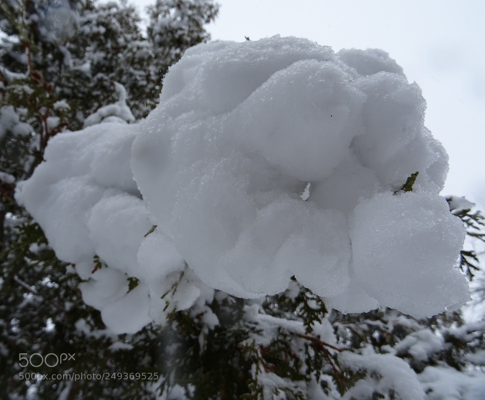 Sony DSC-HX60V sample photo. Snow cloud face photography